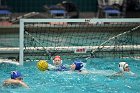 WWPolo vs CC  Wheaton College Women’s Water Polo compete in their sports inaugural match vs Connecticut College. - Photo By: KEITH NORDSTROM : Wheaton, water polo, inaugural